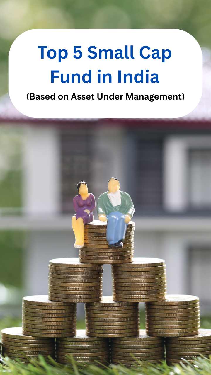 Top 5 Small Cap Fund in India